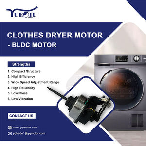 CLOTHES DRYER MOTOR - BLDC Motor