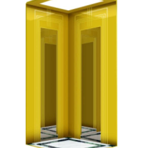 New Design Villa Elevator for Popular Production