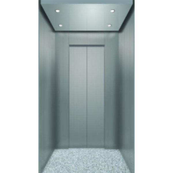 Luxurious of Home Elevator