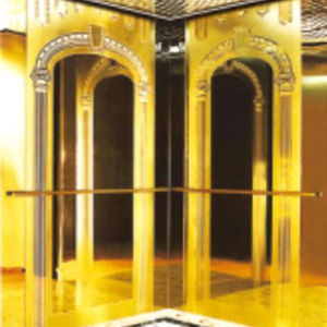 Luxury Decorated Cabin of Passenger Elevator