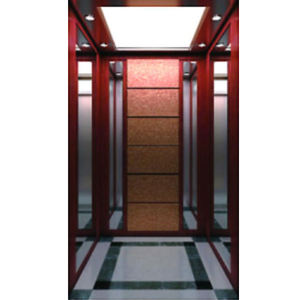 Popular And Energe-saving Residential Elevator